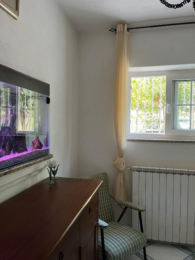 לינה וארוחת בוקר Forio di Ischia Casa Impagliazzo מראה חיצוני תמונה